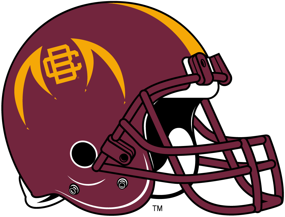 Bethune-Cookman Wildcats 2010-2015 Helmet Logo v2 diy iron on heat transfer